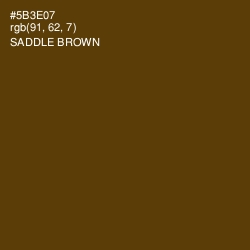 #5B3E07 - Saddle Brown Color Image