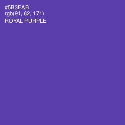 #5B3EAB - Royal Purple Color Image