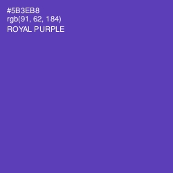 #5B3EB8 - Royal Purple Color Image