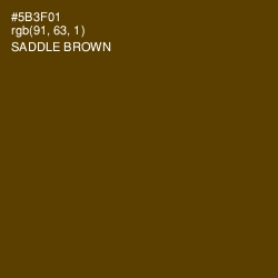 #5B3F01 - Saddle Brown Color Image