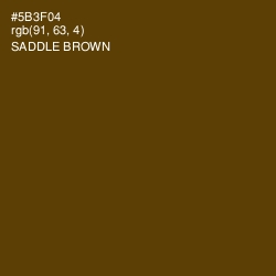 #5B3F04 - Saddle Brown Color Image