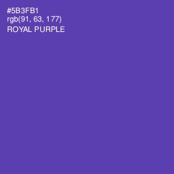 #5B3FB1 - Royal Purple Color Image