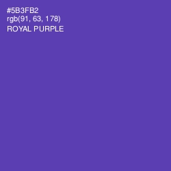 #5B3FB2 - Royal Purple Color Image