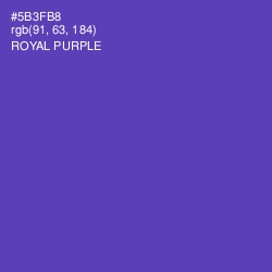 #5B3FB8 - Royal Purple Color Image