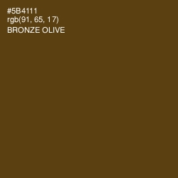 #5B4111 - Bronze Olive Color Image