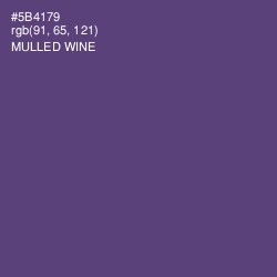 #5B4179 - Mulled Wine Color Image