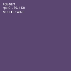 #5B4671 - Mulled Wine Color Image