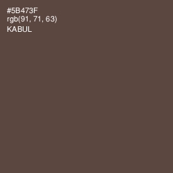 #5B473F - Kabul Color Image