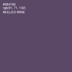 #5B4766 - Mulled Wine Color Image