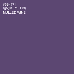 #5B4771 - Mulled Wine Color Image