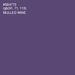 #5B4773 - Mulled Wine Color Image