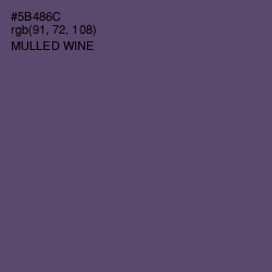 #5B486C - Mulled Wine Color Image