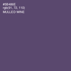 #5B486E - Mulled Wine Color Image