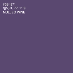 #5B4871 - Mulled Wine Color Image