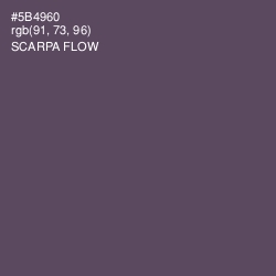 #5B4960 - Scarpa Flow Color Image