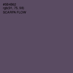 #5B4B62 - Scarpa Flow Color Image