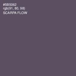 #5B5062 - Scarpa Flow Color Image