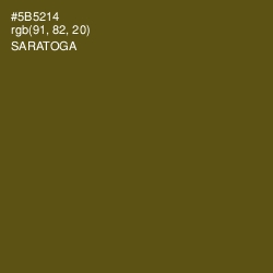 #5B5214 - Saratoga Color Image