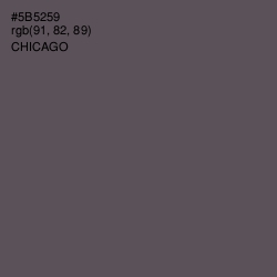 #5B5259 - Chicago Color Image