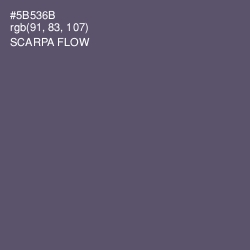 #5B536B - Scarpa Flow Color Image