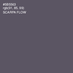 #5B5563 - Scarpa Flow Color Image