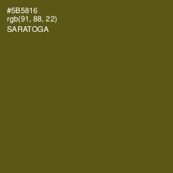 #5B5816 - Saratoga Color Image