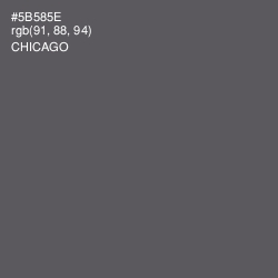 #5B585E - Chicago Color Image