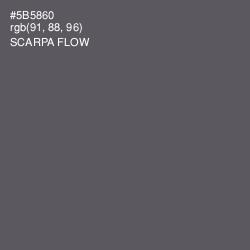 #5B5860 - Scarpa Flow Color Image