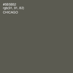 #5B5B52 - Chicago Color Image