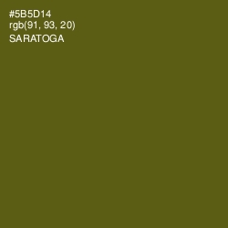 #5B5D14 - Saratoga Color Image