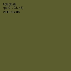 #5B5D2E - Verdigris Color Image