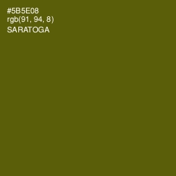 #5B5E08 - Saratoga Color Image