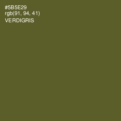 #5B5E29 - Verdigris Color Image