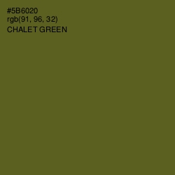 #5B6020 - Chalet Green Color Image