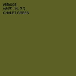 #5B6025 - Chalet Green Color Image