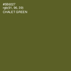 #5B6027 - Chalet Green Color Image