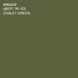 #5B603F - Chalet Green Color Image