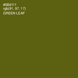 #5B6111 - Green Leaf Color Image