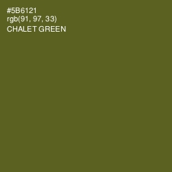 #5B6121 - Chalet Green Color Image