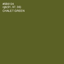 #5B6124 - Chalet Green Color Image