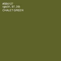 #5B6127 - Chalet Green Color Image