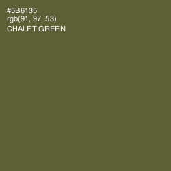 #5B6135 - Chalet Green Color Image