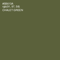#5B613A - Chalet Green Color Image