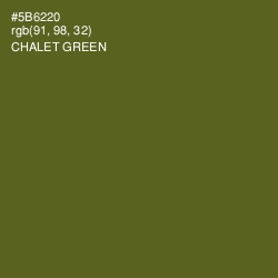 #5B6220 - Chalet Green Color Image