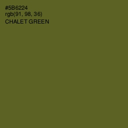 #5B6224 - Chalet Green Color Image