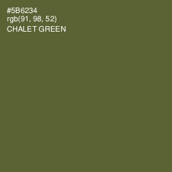 #5B6234 - Chalet Green Color Image