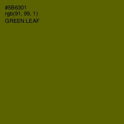 #5B6301 - Green Leaf Color Image