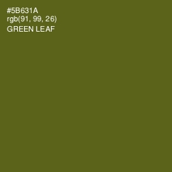 #5B631A - Green Leaf Color Image