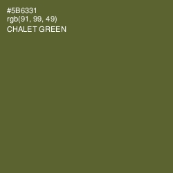 #5B6331 - Chalet Green Color Image