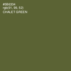 #5B6334 - Chalet Green Color Image